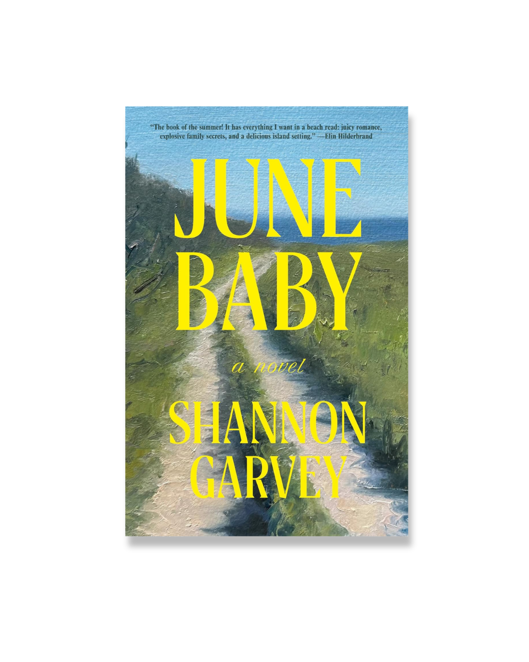 June Baby: A Novel (Thousand Voices)