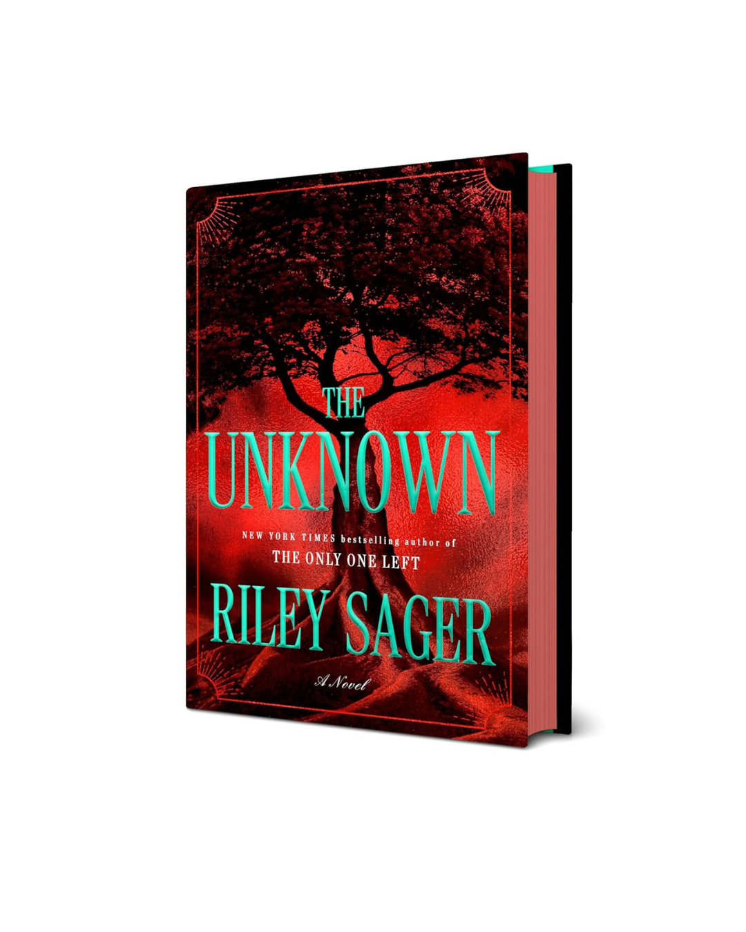 The Unknown: A Novel